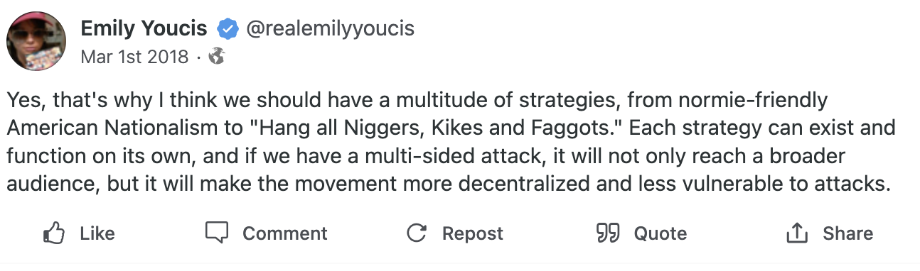 Yes, that's why I think we should have a multitude of strategies, from normie-friendly American Nationalism to 'Hang all Ni****s*, Kikes and Fa****s.' Each strategy can exist and function on its own, and if we have a multi-sided attack, it will not only reach a broader audience, but will make the movement more decenteralized and less vulnerable to attacks.